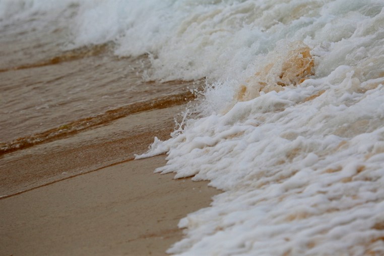 Edde Sands Walk on the Beach